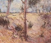 Vincent Van Gogh Trees in a Field on a Sunny Day (nn04) oil painting artist